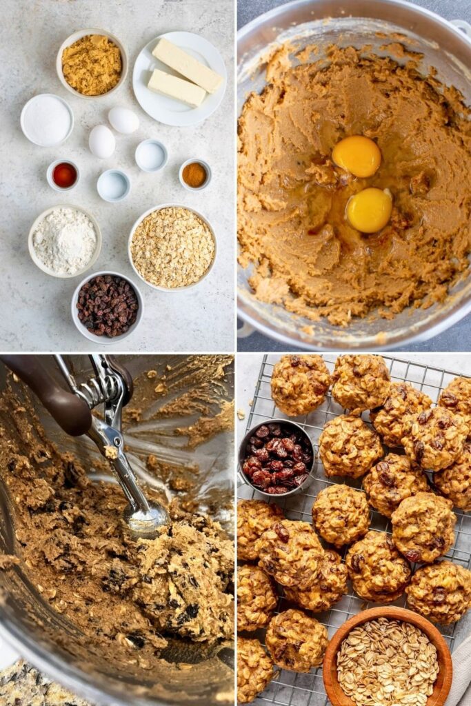 Making Oatmeal Raisin Cookies