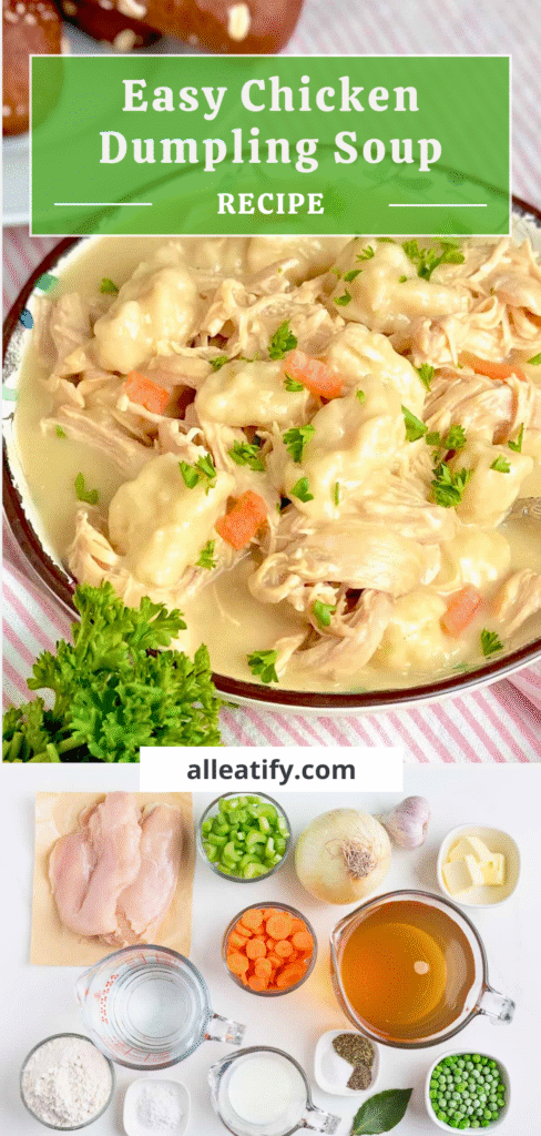 Easy Chicken Dumpling Soup Recipe for Gen Z