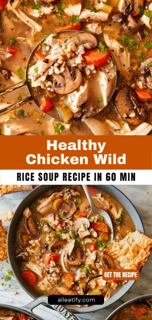Healthy Chicken Wild Rice Soup Recipe in 60 Min