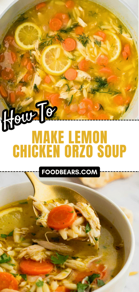 How To Make Lemon Chicken Orzo Soup for Winter