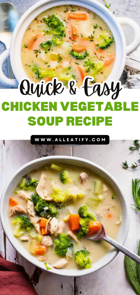 Quick & Easy Chicken Vegetable Soup Recipe