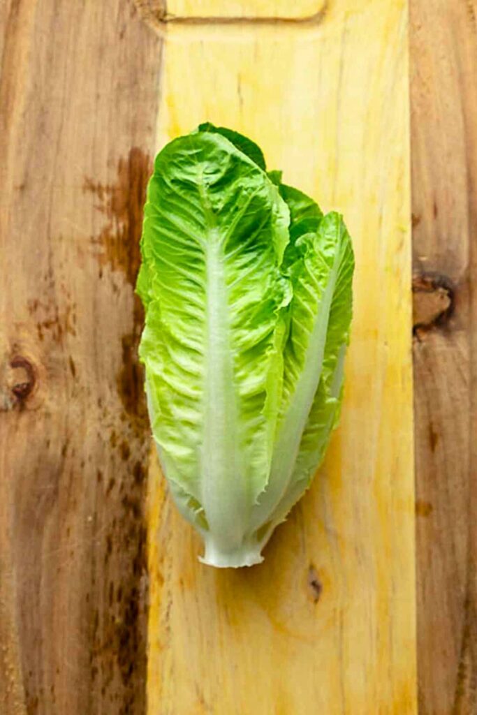 The Best Lettuce for Taco Salad Recipe
