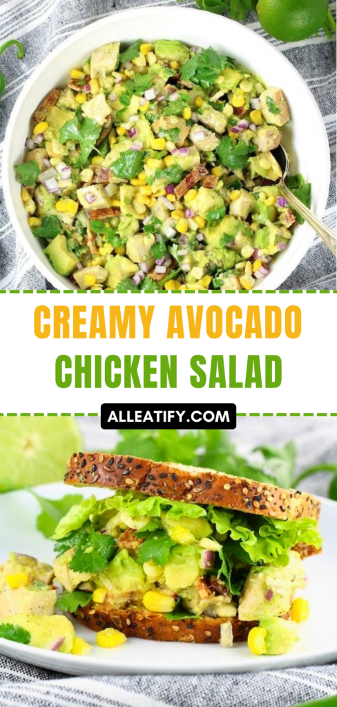 Creamy Avocado Chicken Salad Recipe for Beginners