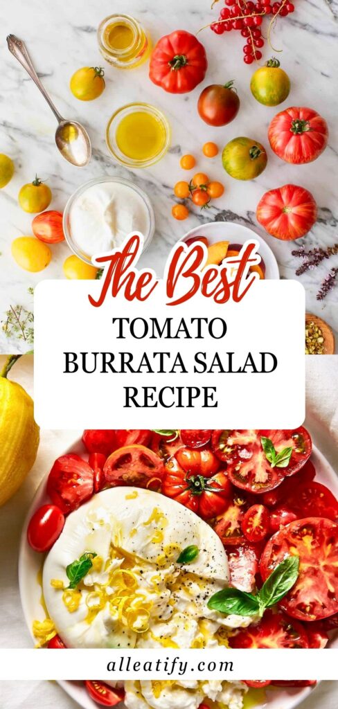 Best Tomato Burrata Salad Recipe for Healthy Foodies